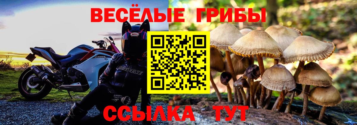 Галлюциногенные грибы MAGIC MUSHROOMS Шахты