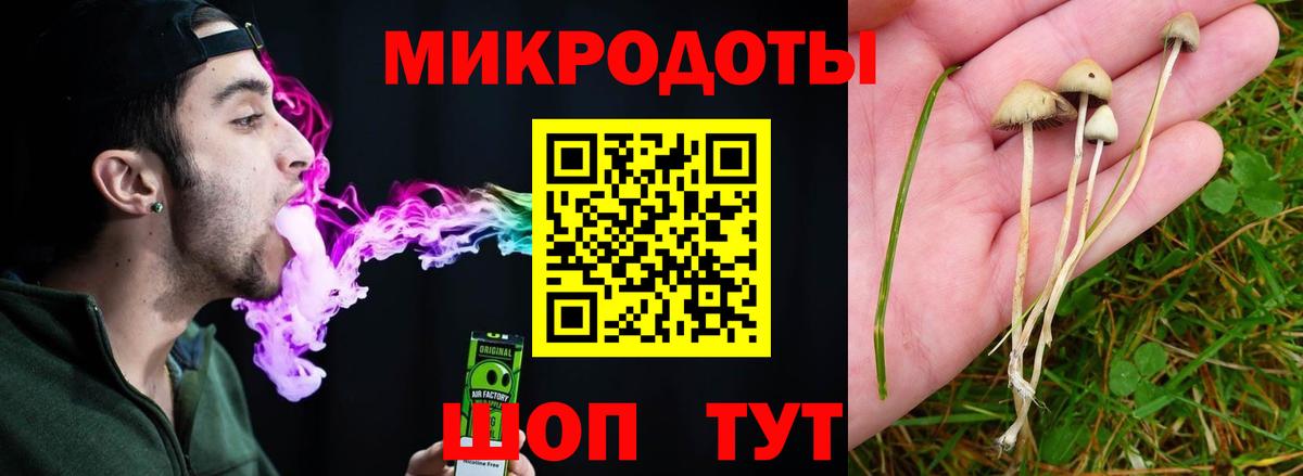 Шахты  Псилоцибиновые грибы MAGIC MUSHROOMS  Галлюциногенные грибы Psilocybine cubensis  цена наркотик  Вход с VPN 